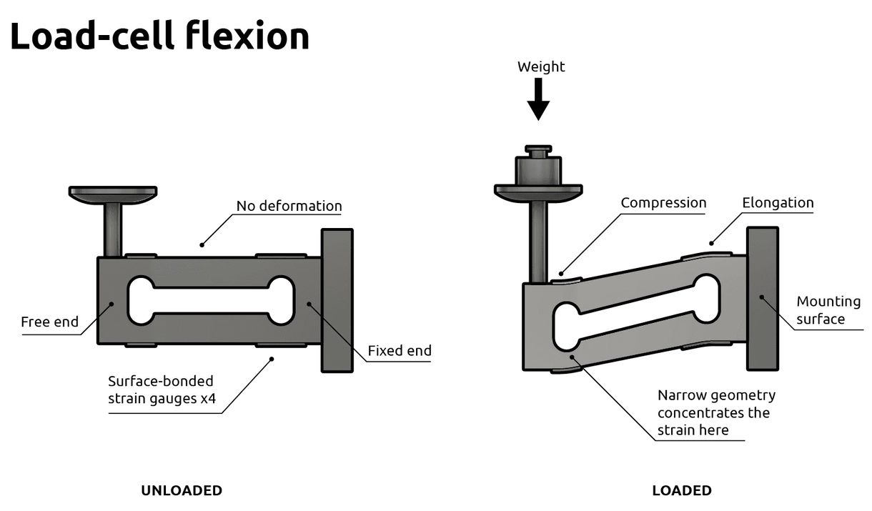 max_content_load_Cell_flexion_en_0ab1d9eaa1